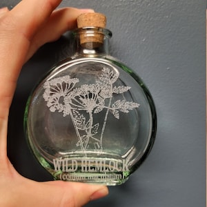 Hemlock Etched Glass Apothecary Bottle 5.7 oz Wild Hemlock Poison