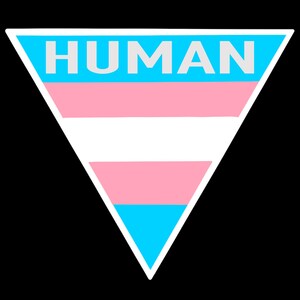 トランスジェンダーのステッカー 人権支援ステッカー LGBTQの人々とその仲間のための小さなレインボーピンクのトランスカラー