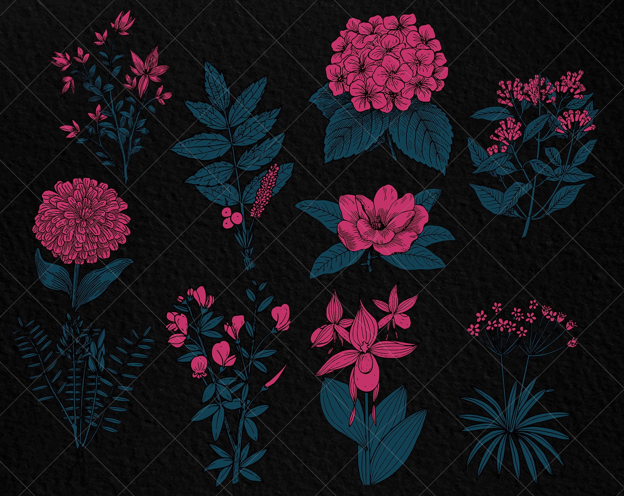 Burgundy Flowers Clipart Pink and Blue Floral Clip Art Deep | Etsy