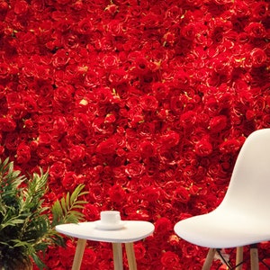 Può includere: Una sedia bianca si trova di fronte a un muro ricoperto di rose rosse. Un tavolino bianco con una tazza di caffè bianca si trova in primo piano.