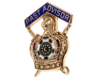 Pin de solapa vintage de asesor anterior en oro de 10 quilates: insignia fraternal de esmalte, 1,8 g