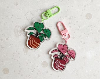 Charme Monstera Verde/Rosa - Chaveiros para Plantas Domésticas - Charme para Saco de Plantas