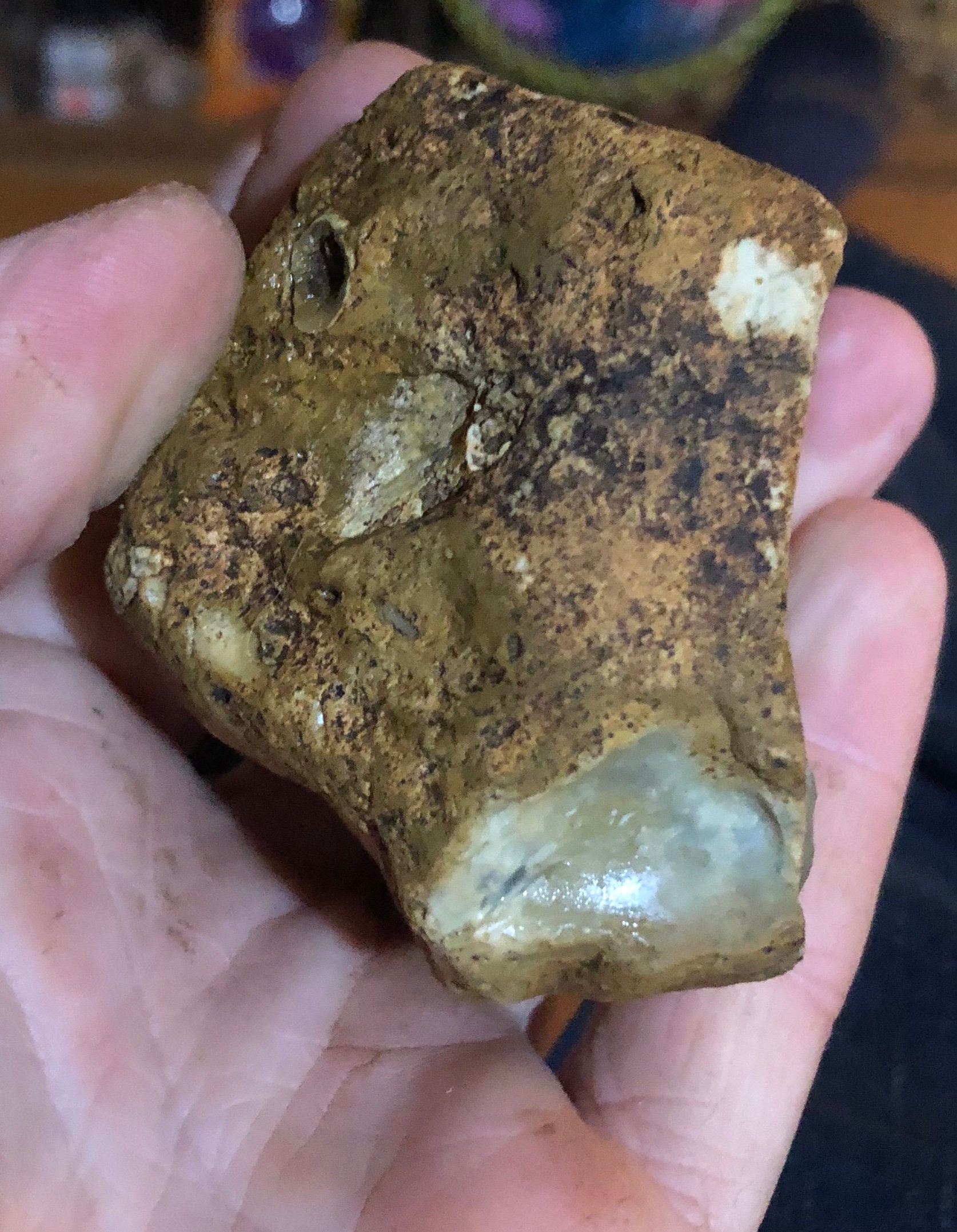 Translucent Multi Color Texas Flint Chert for Knapping Blue Green Gray