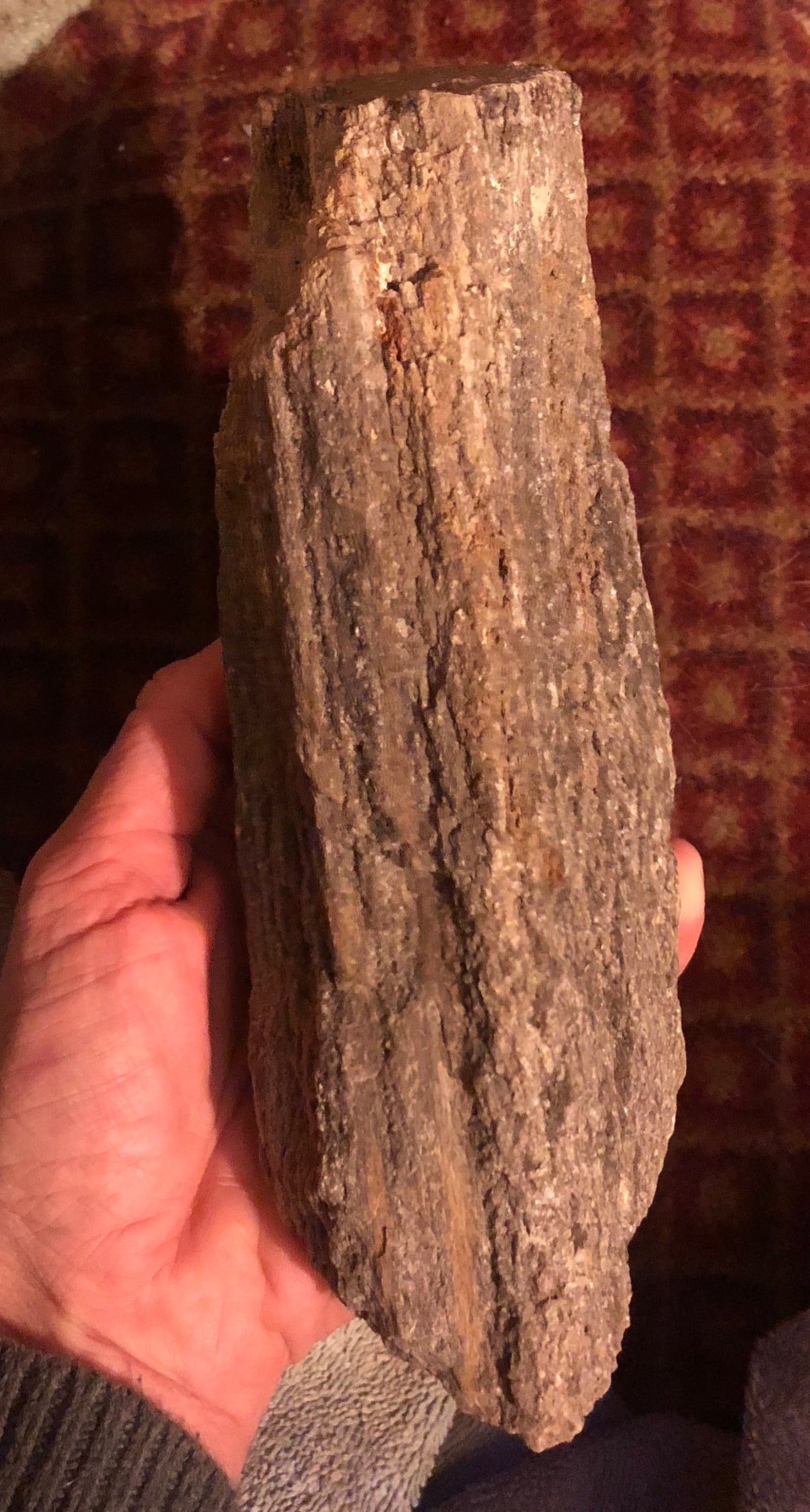 Large 4lb Petrified Wood Log High Detailed Crystalline Bark Etsy