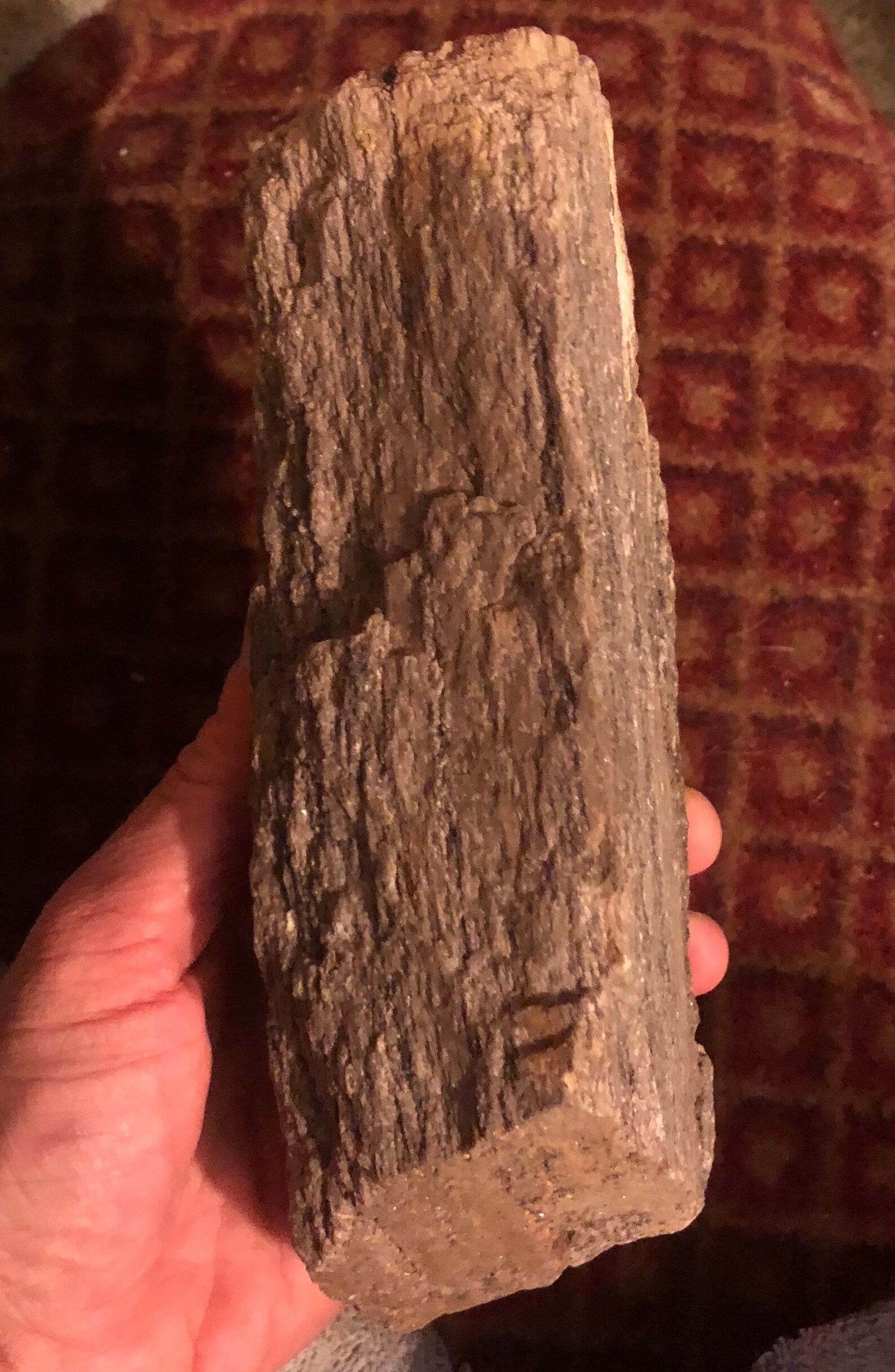 Large 4lb Petrified Wood Log High Detailed Crystalline Bark Etsy