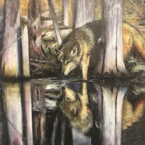 Reflections of a Lone Wolf