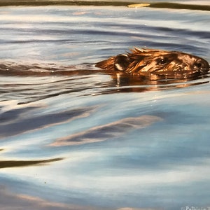 Original oil painting Beaver Swimming Miniature Artwork by Patricia Pepin