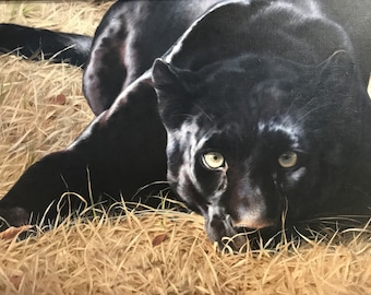 Original oil painting Black Panther in Fields of Gold Wildlife artwork by Patricia Pepin