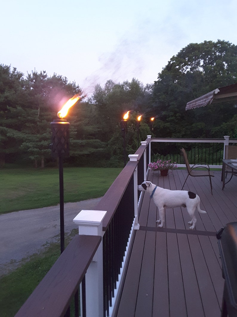 May include: A white and black dog stands on a wooden deck with a white railing. There are three tiki torches with flames burning in the background.