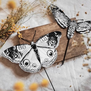 Pupazzi di farfalla e falena, Gioco di carta stampabile, Artigianato per bambini, Giocattolo del teatro di carta