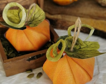 Pumpkin Unit Study - 22 pages