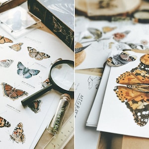 Monarch Butterfly Unit Study - 42 pages