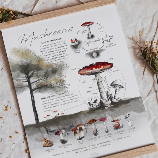 Educational mushroom wall art, Homeschool decor, Printable classroom poster, Illustration print, Watercolor bee print, Instant download