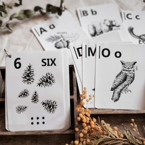 Tarjetas didácticas del alfabeto y números, imprimibles de educación en el hogar, materiales Montessori, tarjetas ABC y 123, tarjetas del alfabeto de animales, decoración del aula