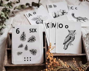 Alphabet & numbers flash cards, Homeschool printables, Montessori materials, ABC and 123 cards, Animal alphabet cards, Classroom decor