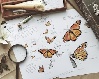 Monarch Butterfly Unit Study - 42 pages