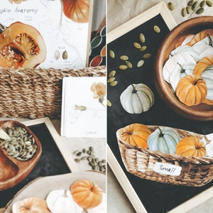Studium jednostki Pumpkin - 22 strony