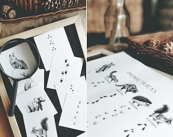 Printable animal tracks, Print + cards, Forest animal tracks guide, Nature study, Animal flash cards,Educational print, Animal study