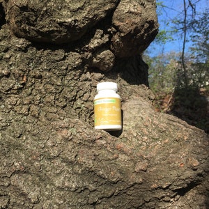 以下が含まれることがあります： 緑のラベルに「Ginger Root」と「Natural Food Supplement」と書かれた白いボトル。ボトルは木の幹の上に置かれています。