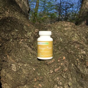 以下が含まれることがあります： グリーンのラベルに「Green Hills Remedies Ginger Root Herbal Supplement 60 Veg Capsules」と書かれた白いボトル。ボトルは木の幹の上に置かれています。