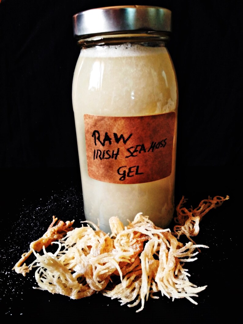 SEA MOSS GEL Raw Wildcrafted Organic Irish Sea Moss Etsy