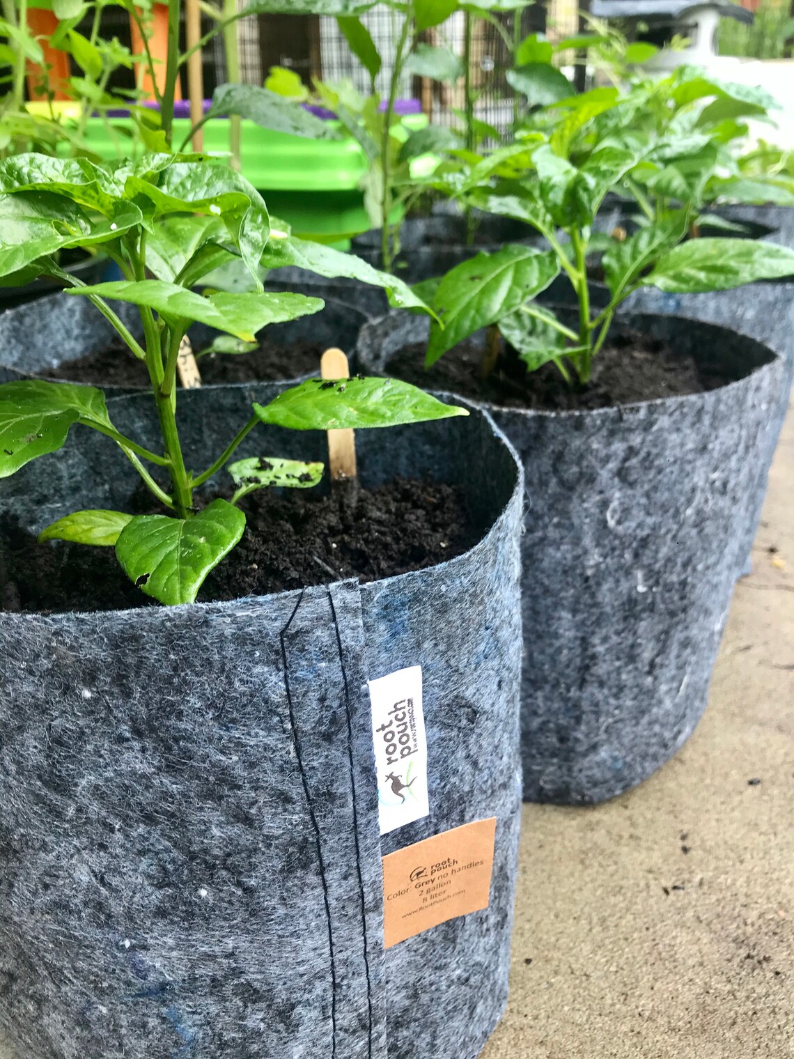 2 Gallon Root Pouch Gray Etsy