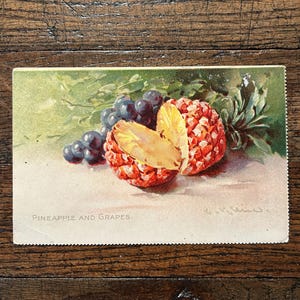 May include: Vintage postcard featuring a still life painting of a pineapple cut in half and a bunch of grapes. The text "Pineapple and Grapes" is printed at the bottom of the postcard.