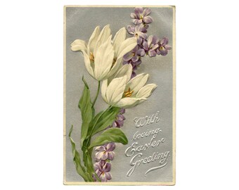 Flower Tulip Themed Postcard Dutch Design