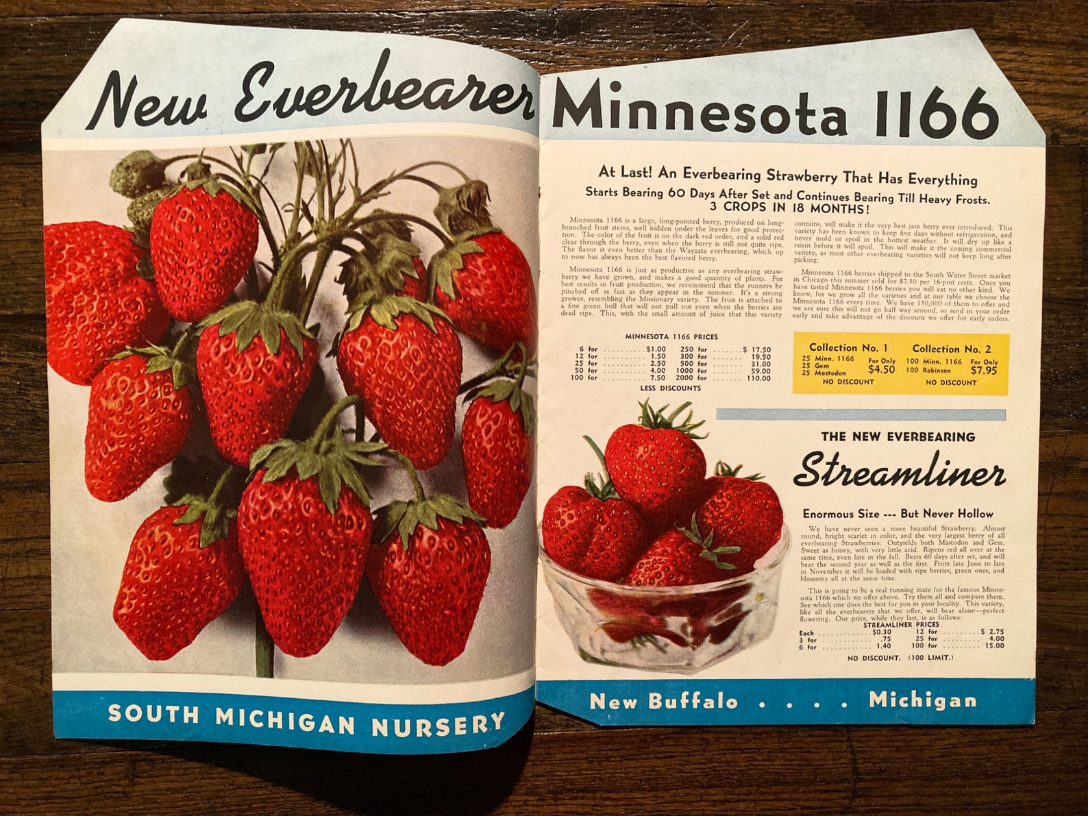 Vintage 1945 Garden Success Catalog Stromer's South Etsy