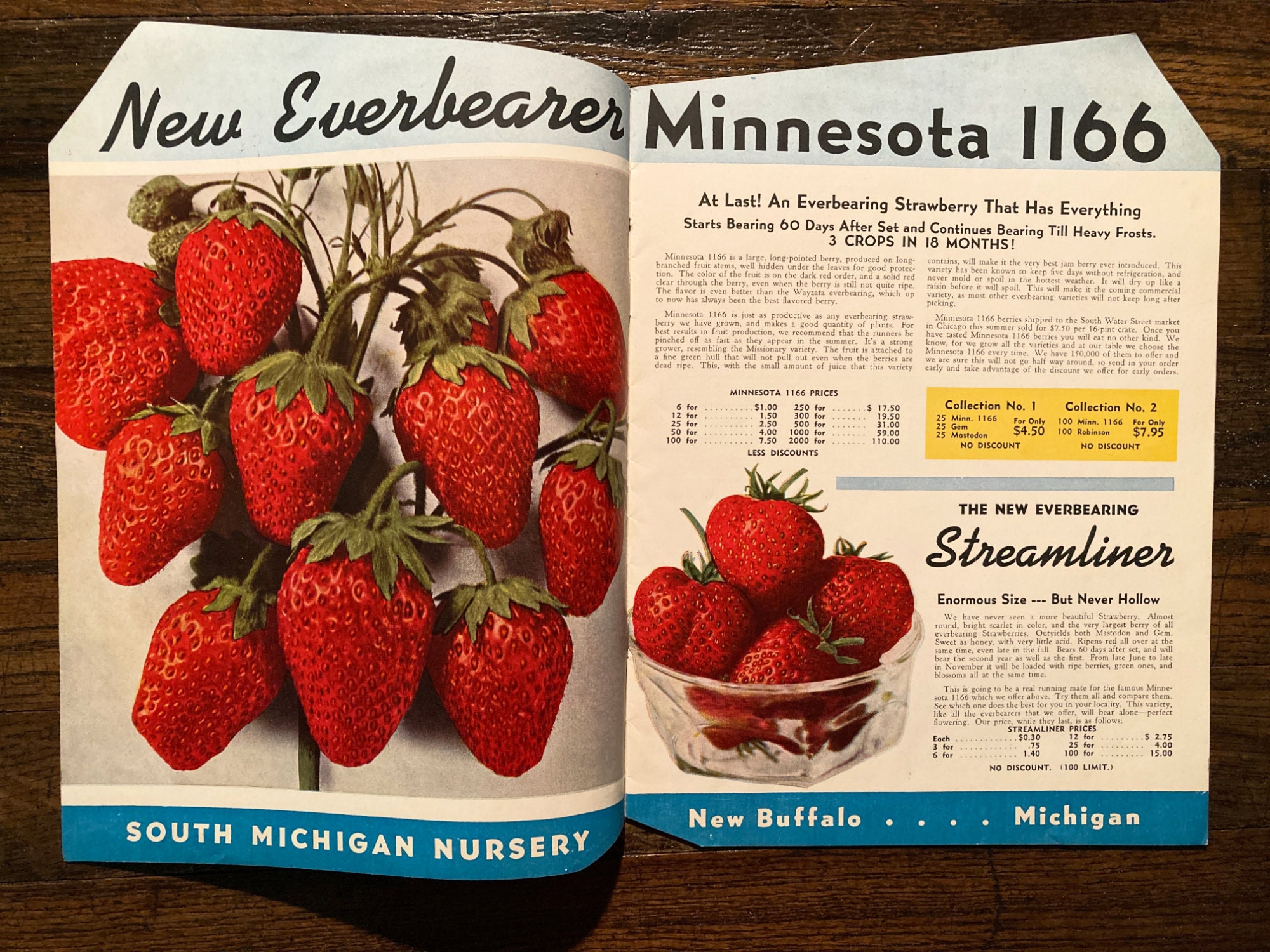 Vintage 1945 Garden Success Catalog Stromer's South Michigan