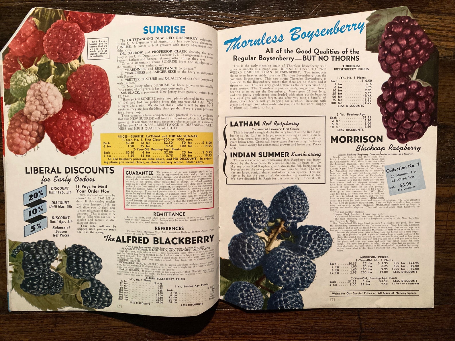 Vintage 1945 Garden Success Catalog Stromer's South Michigan