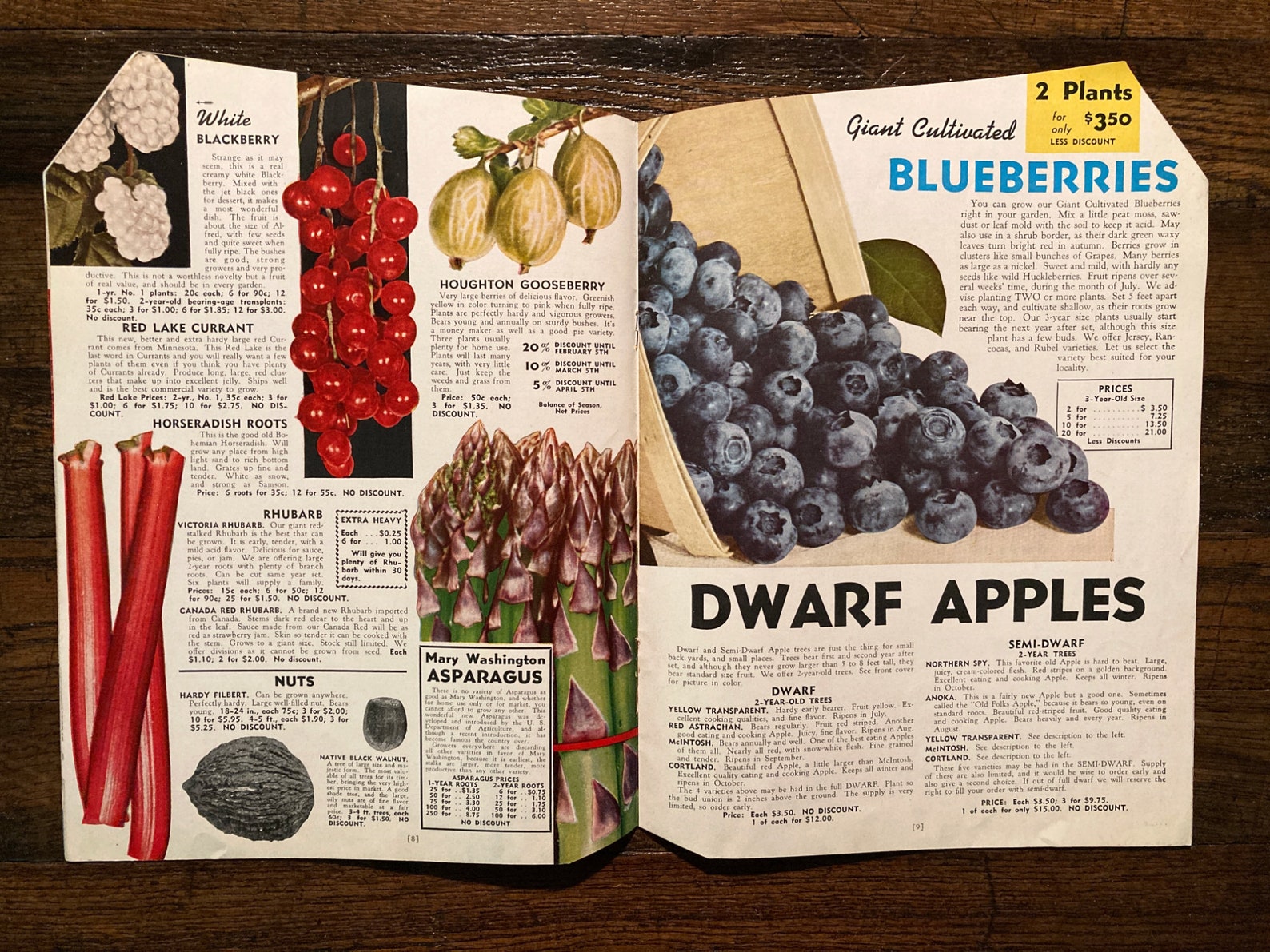 Vintage 1945 Garden Success Catalog Stromer's South Etsy