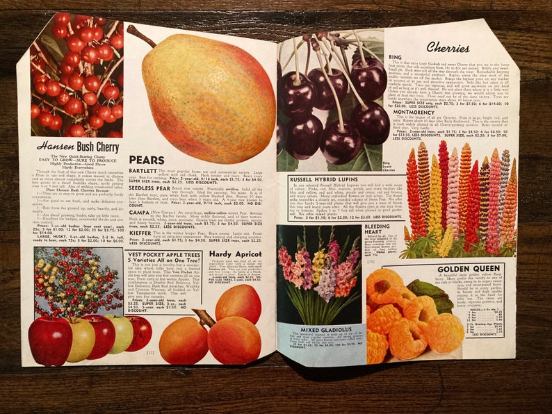 Vintage 1945 Garden Success Catalog Stromer's South Etsy