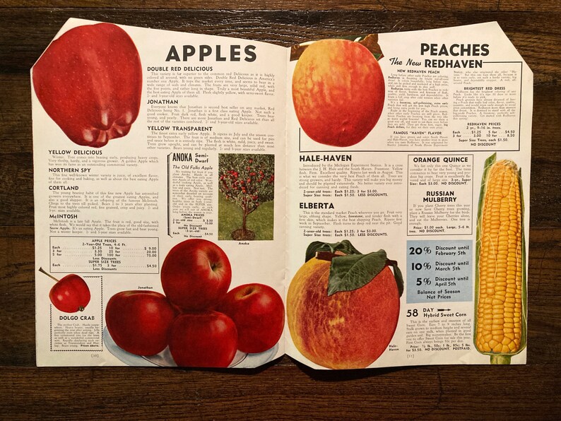 Vintage 1945 Garden Success Catalog Stromer's South Michigan