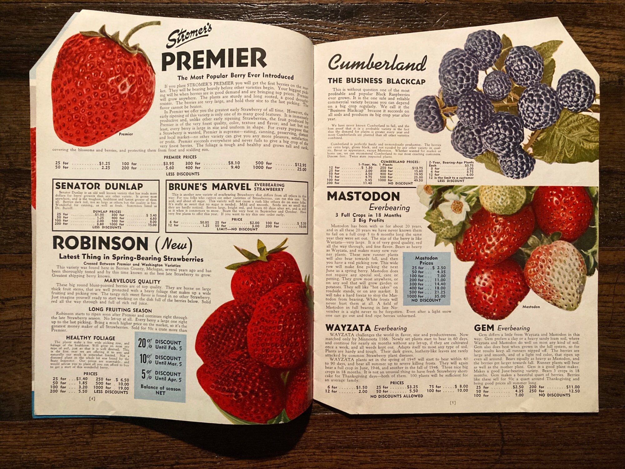 Vintage 1945 Garden Success Catalog Stromer's South Michigan