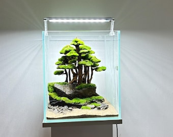 Ancient Stone glued aquascape decoration for nano aquarium with Bonsai Forest theme