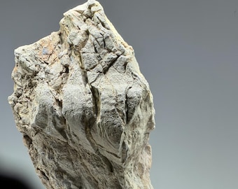 Unique Natural Stone for Aquarium & Terrarium – Decorative Rock with Organic Shape | One of a Kind Aquascape Hardscape