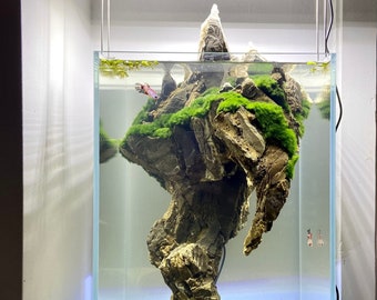 Decoration for a freshwater fish aquarium made of natural aquarium rocks of the highest quality.