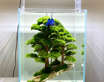 Full Nano Betta Aquarium setup with led light, filter and Bonsai Forest decoration made of natural rocks, roots and plants attached