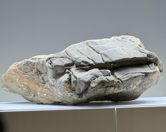 Unique Natural Stone for Aquarium & Terrarium – Decorative Rock with Organic Shape | One of a Kind Aquascape Hardscape