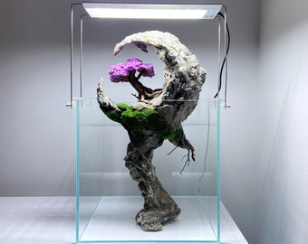 Aquarium set with led light, filter and unique decoration made of natural rocks, roots and plants