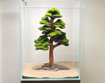Bonsai aquascape Tree for aquarium Driftwood and Ancient Stone