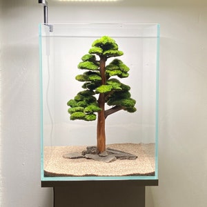 Bonsai-Aquascape-Baum für das Aquarium, Treibholz und alter Stein
