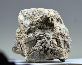 Unique Natural Stone for Aquarium & Terrarium – Decorative Rock with Organic Shape | One of a Kind Aquascape Hardscape