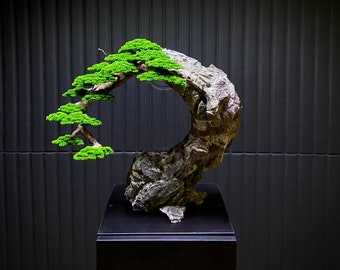 Preserved Bonsai "Eternal" Presved Moss, Natural Trunk, Natural rock