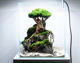 Ancient Stone Bonsai on stone cliff aquarium decoration