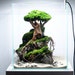 see more listings in the aquascaping section