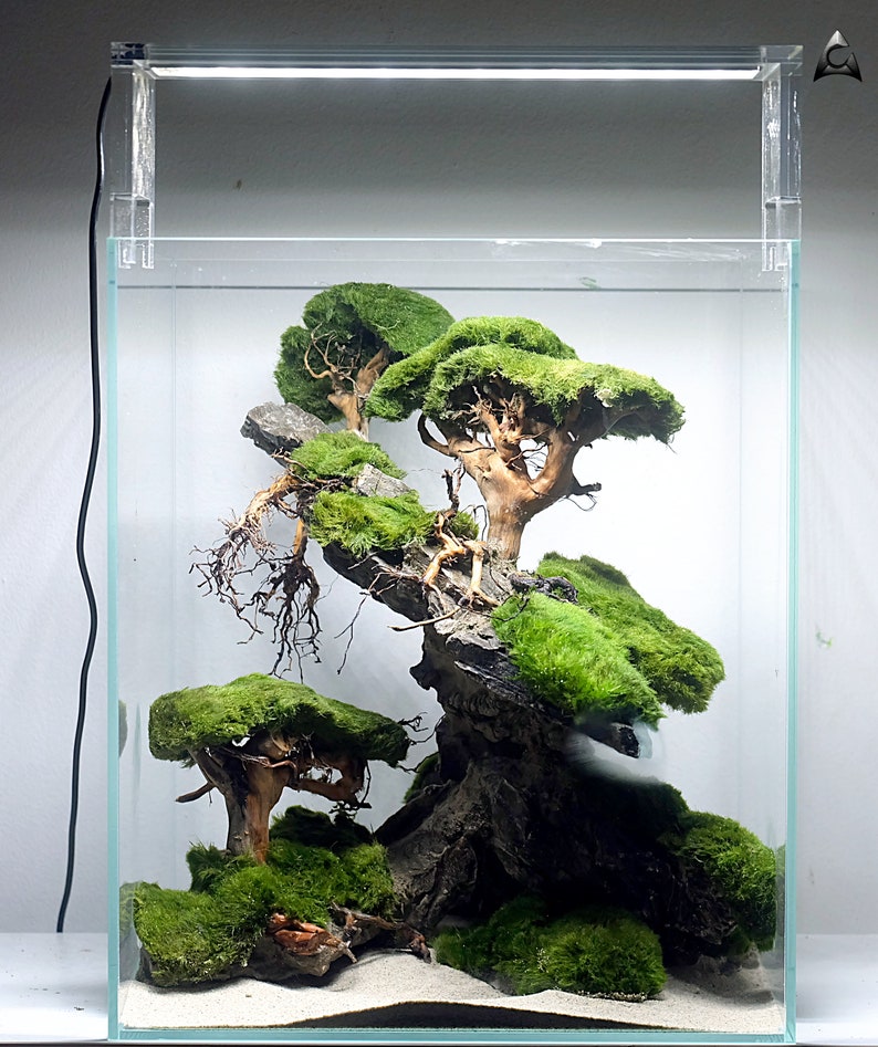 Ancient Stone glued aquascape for nano aquarium image 3