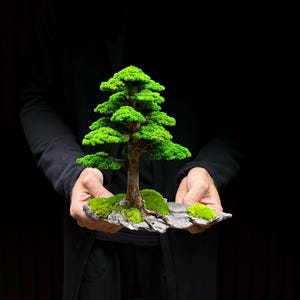 Bonsai Tree Home Decor – Handmade Natural Moss Art, No Maintenance