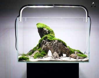 Natural decoration cave for a freshwater aquarium